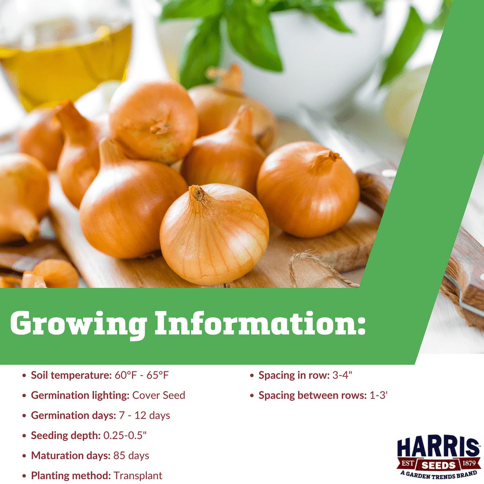 Harris Seeds Candy F1 Onion, Sweet Mild Bulb Onion for Garden Growing, Treated, 10,000 Count