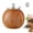 01#Brown, variant on Bxaolu 1Pack - Acacia Wood Pepper Grinder or Salt Mill Elegant Pepper Mill Wooden with a Adjustable Ceramic Rotor and Easily Refillable - Wood Salt Grinder for Your Kitchen