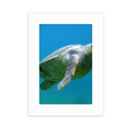 thumbnail image 1 of Marco de Fotos Unbranded Organismo marino de Turtle Ocean 5x7 pulgadas, 1 of 4