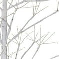 thumbnail image 2 of Kurt Adler 3-Foot White Birch Tree with Warm White LED 8 Function Lights, 2 of 4