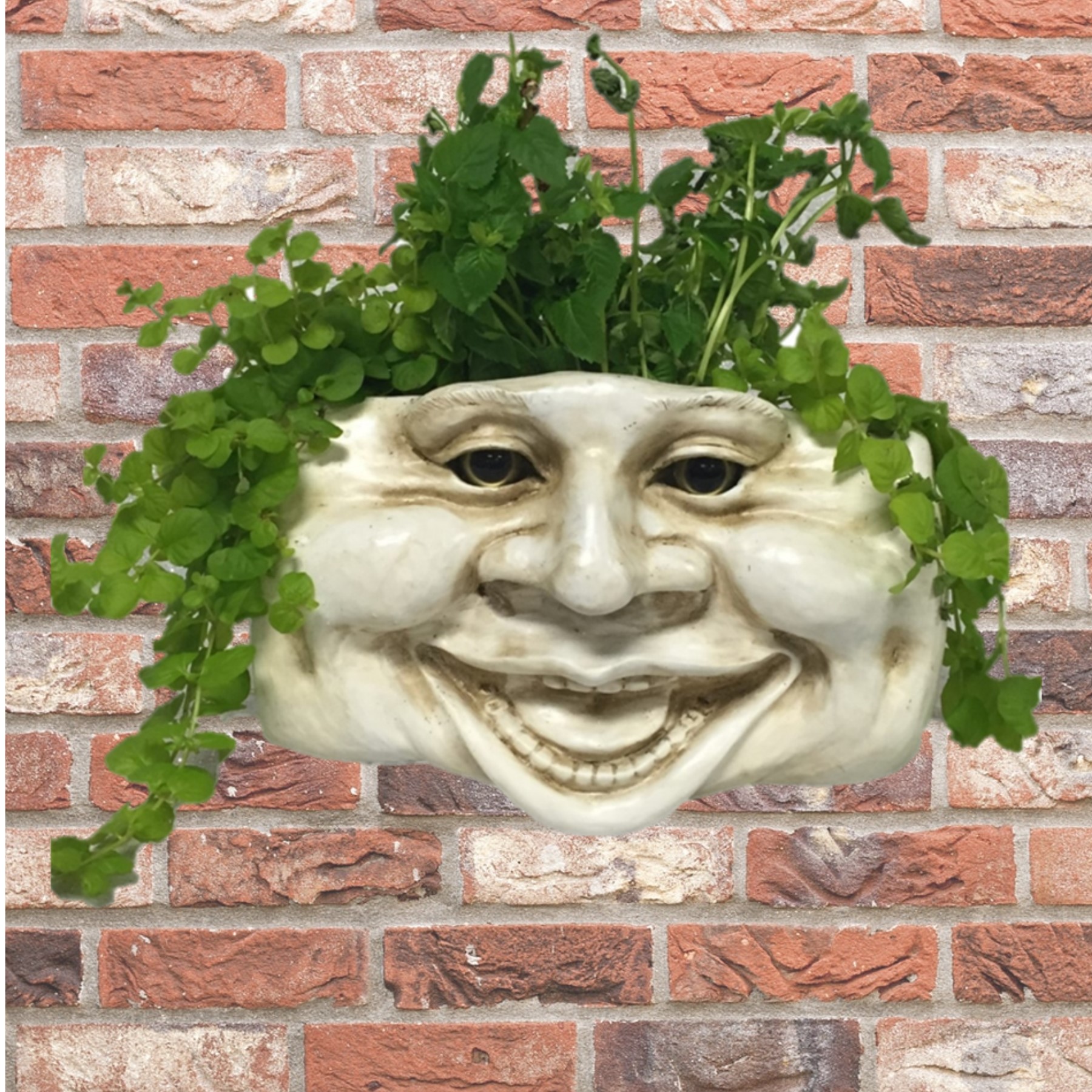 Homestyles Aunt Minnie Muggly Face Garden Statue Tree & Patio Wall Planter