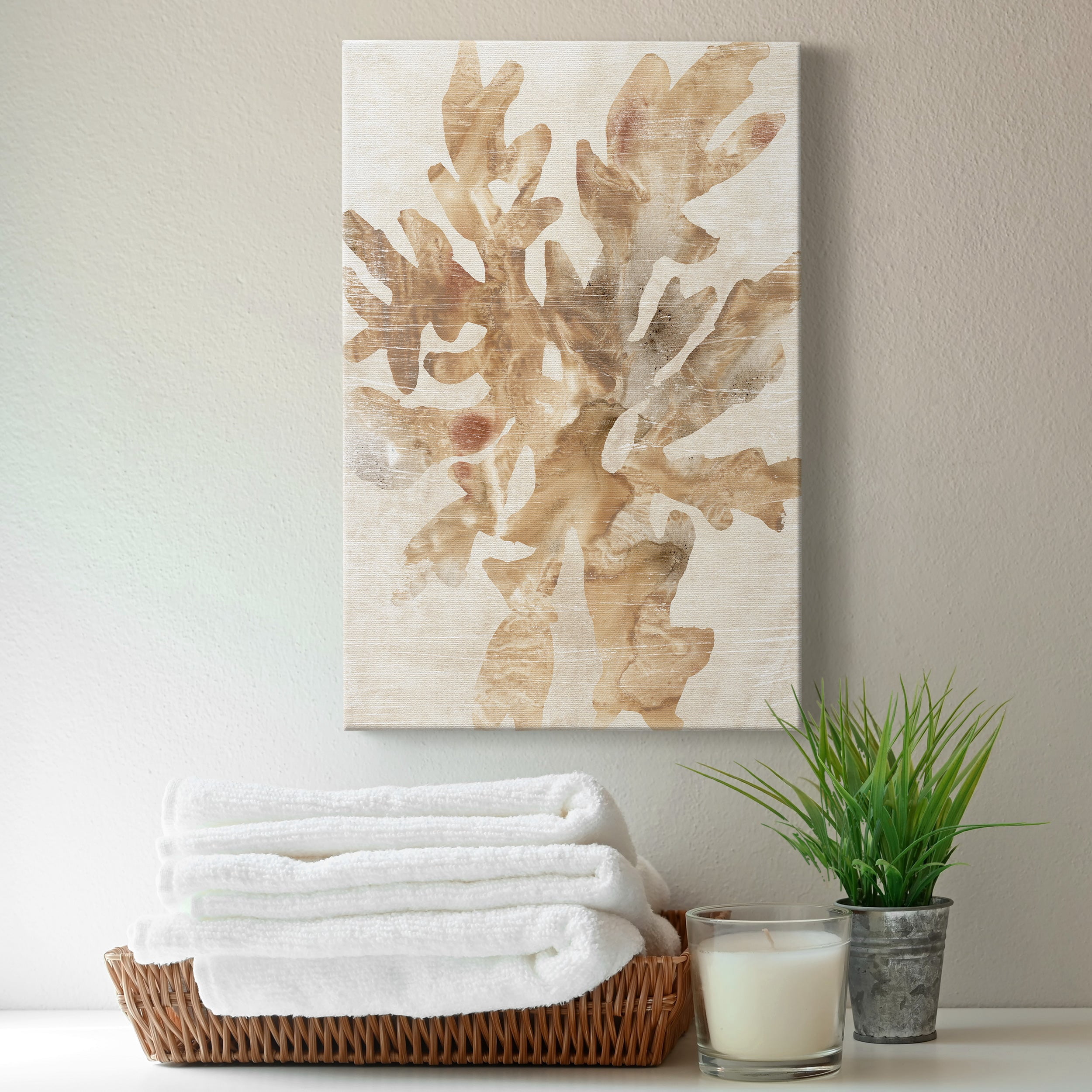 Parchment Coral IV Premium Gallery Wrapped Canvas - Ready to Hang