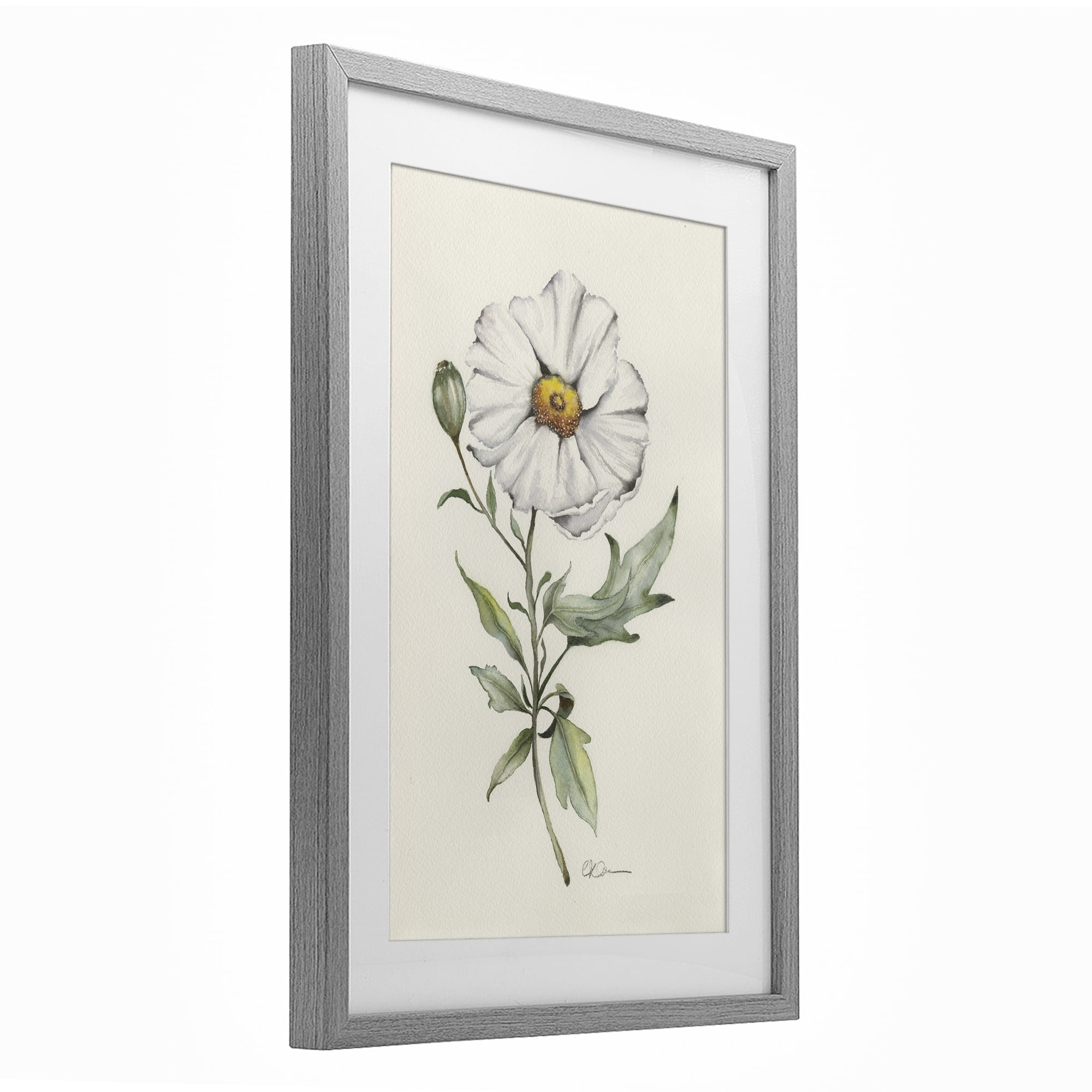 Stupell Industries Natural Wild Blossom Sprig Gray Framed Print Under Glass, design by Cady Driver