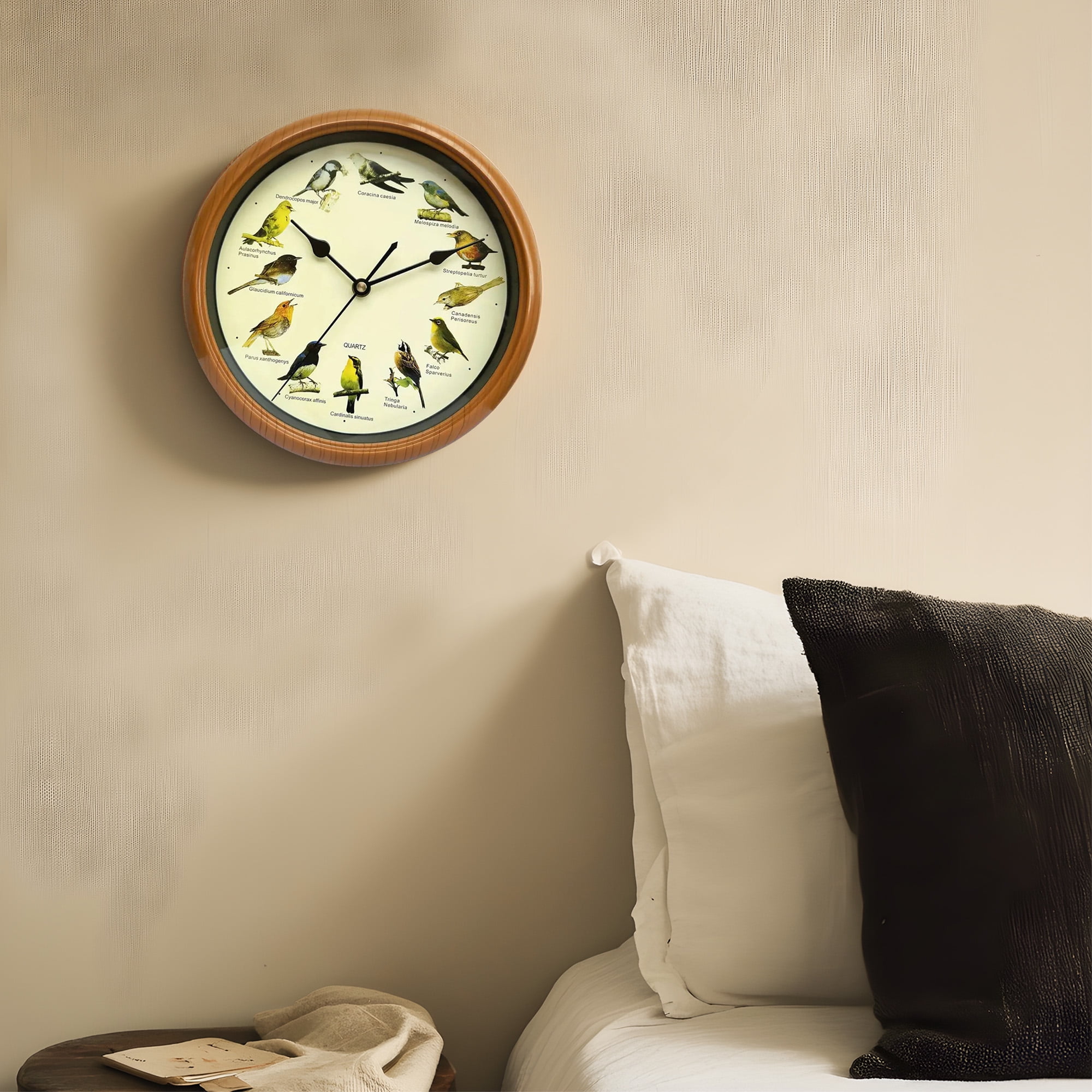 Menolana 10" Modern Singing Bird indoor Wall Clock, Easy Installation
