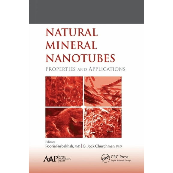 Natural Mineral Nanotubes: Properties and Applications, (Paperback)