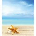 thumbnail image 3 of Starfish Decor Twin Size Duvet Cover Set, Scallop Seashell and Starfish Close Up on Sandy Beach Idyllic Ocean Backdrop, Decorative 2 Piece Bedding Set with 1 Pillow Sham, Multicolor, by Ambesonne, 3 of 3