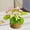 Purple, variant on Bxaolu 1 Pack Wall Hanging Rope Basket (3.15"W×4.72"H) with Artificial Flower, Woven Storage Organizer Flower Plants Basket for Home Bathroom Office Shelf Tabletop Desk Room Decor
