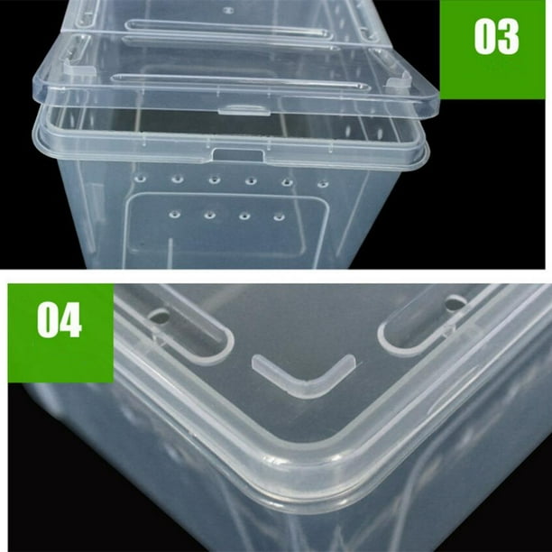 Clear Box Reptile Transport Breeding Feeding Case