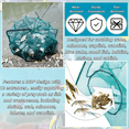 thumbnail image 2 of 3‑Pack Crawfish Traps, 12-Hole Fishing Trap, Cylindrical Hexagon Crab Trap, Green Foldable Fishing Net, Fishing Accessories for Small Fish Shrimp Crab Crawfish (23.6 x 13.8 in), 2 of 8