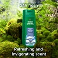 thumbnail image 3 of Irish Spring Mountain Chill Moisturizing Body Wash for Men, 24-Hour Fresh, Face and Body Wash, Men’s Body Wash, Biodegradable Ingredients, Paraben Free, Cool Fresh Scent, 20 fl oz Bottle, 3 of 13