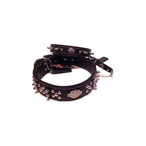 harley davidson spiked dog collar