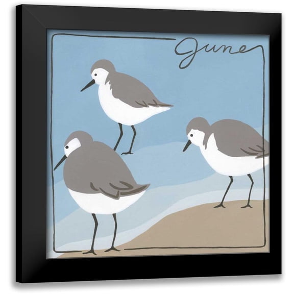 Meagher, Megan 12x12 Black Modern Framed Museum Art Print Titled - Avian June