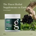 thumbnail image 3 of Gaia Herbs Black Elderberry (Sambucus nigra) Extra Strength Gummies - Delicious Immune Support Supplement* - Certified Organic Black Elderberries for Immune System Support* -120 Gummies (60 Servings), 3 of 9