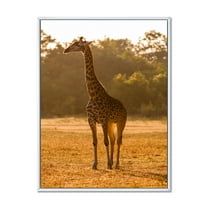 Designart 'African Giraffe In The Wildlife II' Farmhouse Framed Canvas Wall Art Print