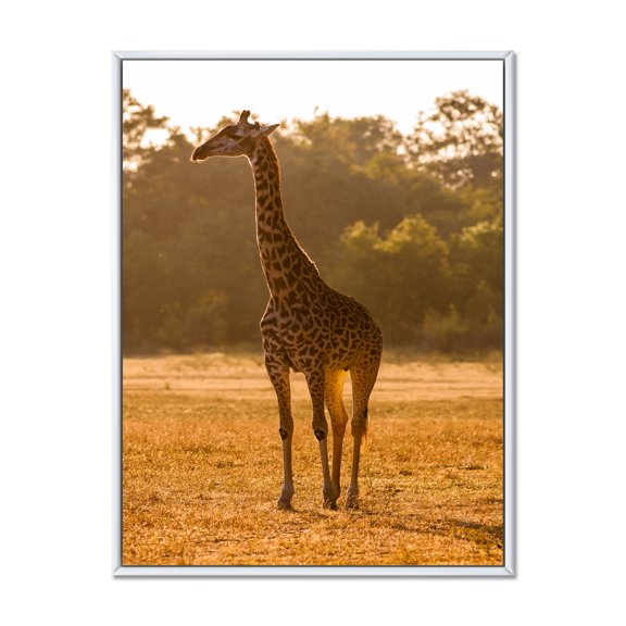 Designart 'African Giraffe In The Wildlife II' Farmhouse Framed Canvas Wall Art Print