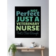 thumbnail image 2 of Vet Nurse T Shirt Poster Wall Art, Modern Wall Decor, 12x18 UNFRAMED, 2 of 3