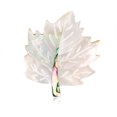 thumbnail image 1 of Broche de flor de concha de temperamento de alta gama, adornos de broche creativos muy vendidos, regalos de vacaciones oso de fresa Electrónica, 1 of 4
