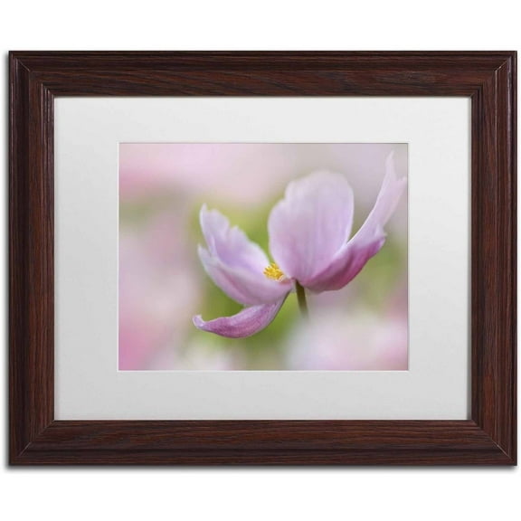 Trademark Fine Art 'Pink Anemone' Canvas Art by Cora Niele, White Matte, Wood Frame