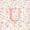 Colorful U, variant on Catabedysis Floral ABC Print A 7-Piece Twin Bedding,Colorful Monogrammed Gifts Bedding Comforter Set,Pink Reversible For Girls
