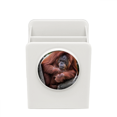 thumbnail image 1 of Animales salvajes terrestres organismo Orang Utan Estuche de escritorio, 1 of 4