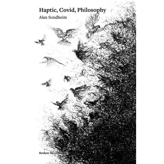 Haptic, Covid, Philosophy, (Paperback)