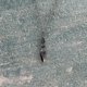 thumbnail image 2 of Jett Knife Necklace Gamer Jewelry Valorant Accessories Knife Pendant Necklace, 2 of 4