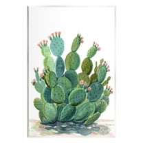Stupell Botanical Desert Prickly Pear Cactus Botanical & Floral Painting Wall Plaque Unframed Art Print Wall Art