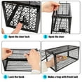 thumbnail image 4 of Small Live Animal Trap Mouse Voles Hamsters Live Cage Humane Rat Trap Chipmunk Rodent Trap Mouse Trap, 4 of 9