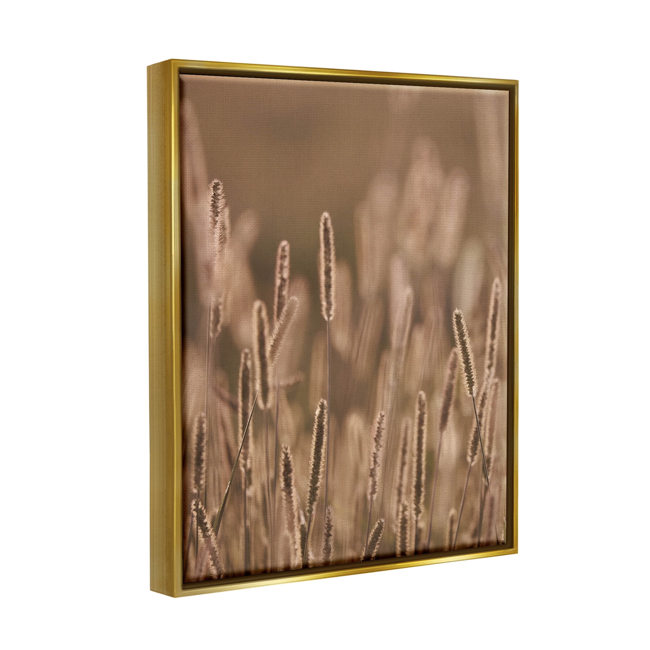 Rural Wheat Field Nature Botanical & Floral Photograph Metallic Gold Framed Art Print Wall Art