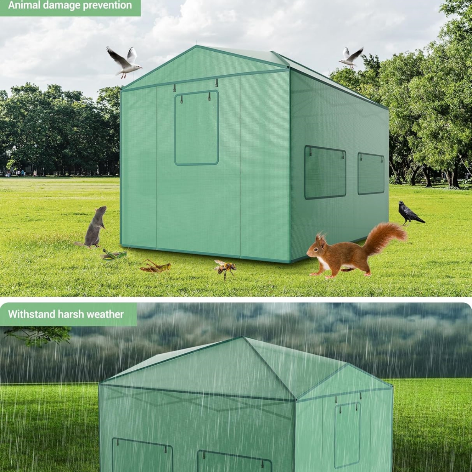 Riedhoff Portable Walk-in Greenhouse 8' x 6', Pop-up , Zippered Doors & Windows, Green