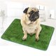 thumbnail image 4 of Inodoro para perros a juego con tapete de césped, inodoro para perros de peluche, inodoro para perros golden retriever con tapete de césped, 4 of 6