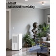 thumbnail image 4 of 3-in-1 Dehumidifier Humidifier & Diffuser with Purifier for Bedroom Bathroom Basement - 350 Sq Ft Quiet Operation Digital Display, 4 of 11