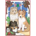 thumbnail image 1 of Pipsqueak Productions  Sheltie Pups Christmas Boxed Cards - Pack of 10, 1 of 1