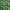 Green, variant on oneOone Polyester Lycra Brown Fabric Abstract Sewing Craft Projects Fabric Prints By Yard 56 Inch Wide