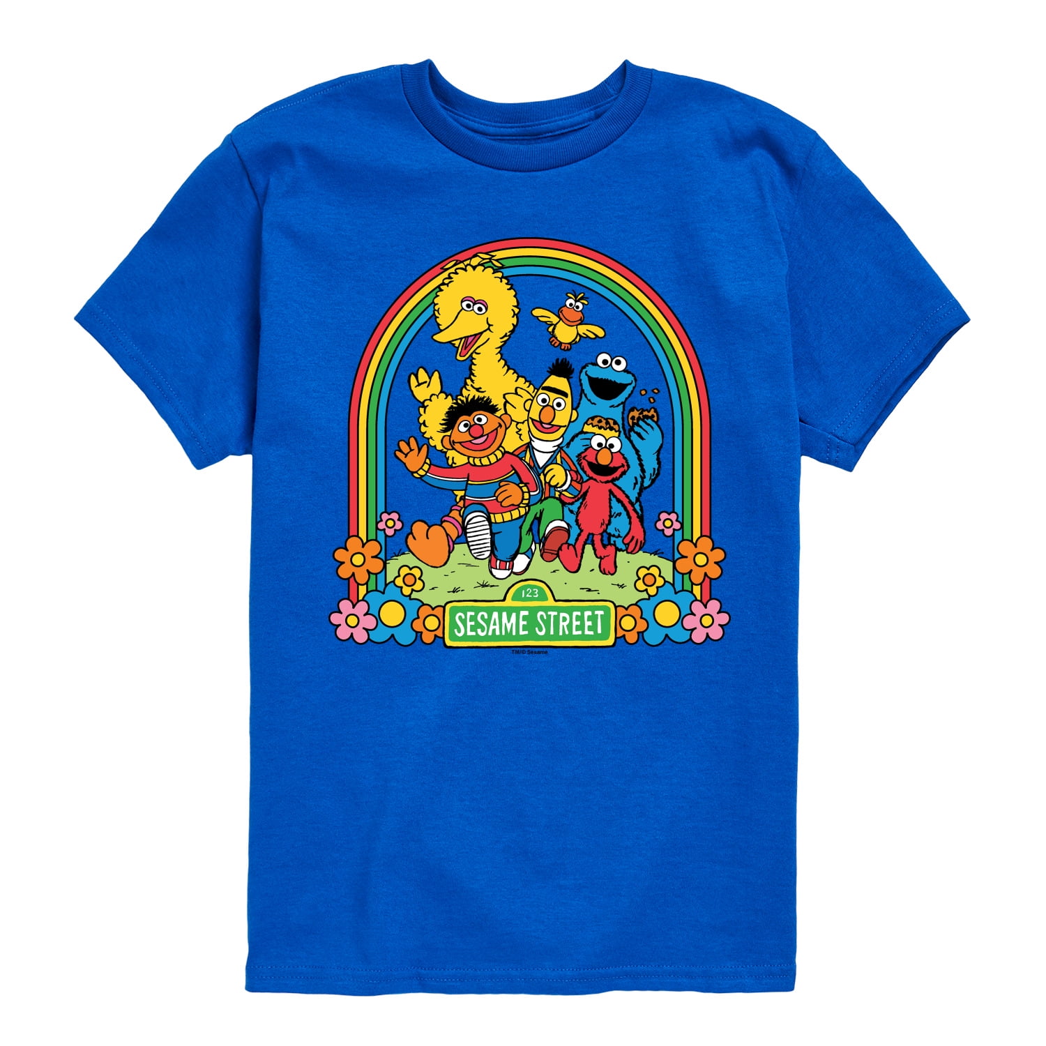 Sesame Street - Sesame Street Rainbow - Toddler and Youth Short Sleeve Graphic T-Shirt