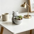 thumbnail image 4 of JHyouerji Cute Cat Shaped Plastic Succulent Planter Pot 7x2x3 Inch,Light Gray Drainage Hole Small Flower Container for Windowsill Office Indoor Plant Home Decor, 4 of 6
