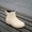 Beige, variant on Women's Ankle Rain Boots, Kitchen Summer Thickened Plastic Non-Slip Waterproof Laundry & Cleaning Shoes Black 8