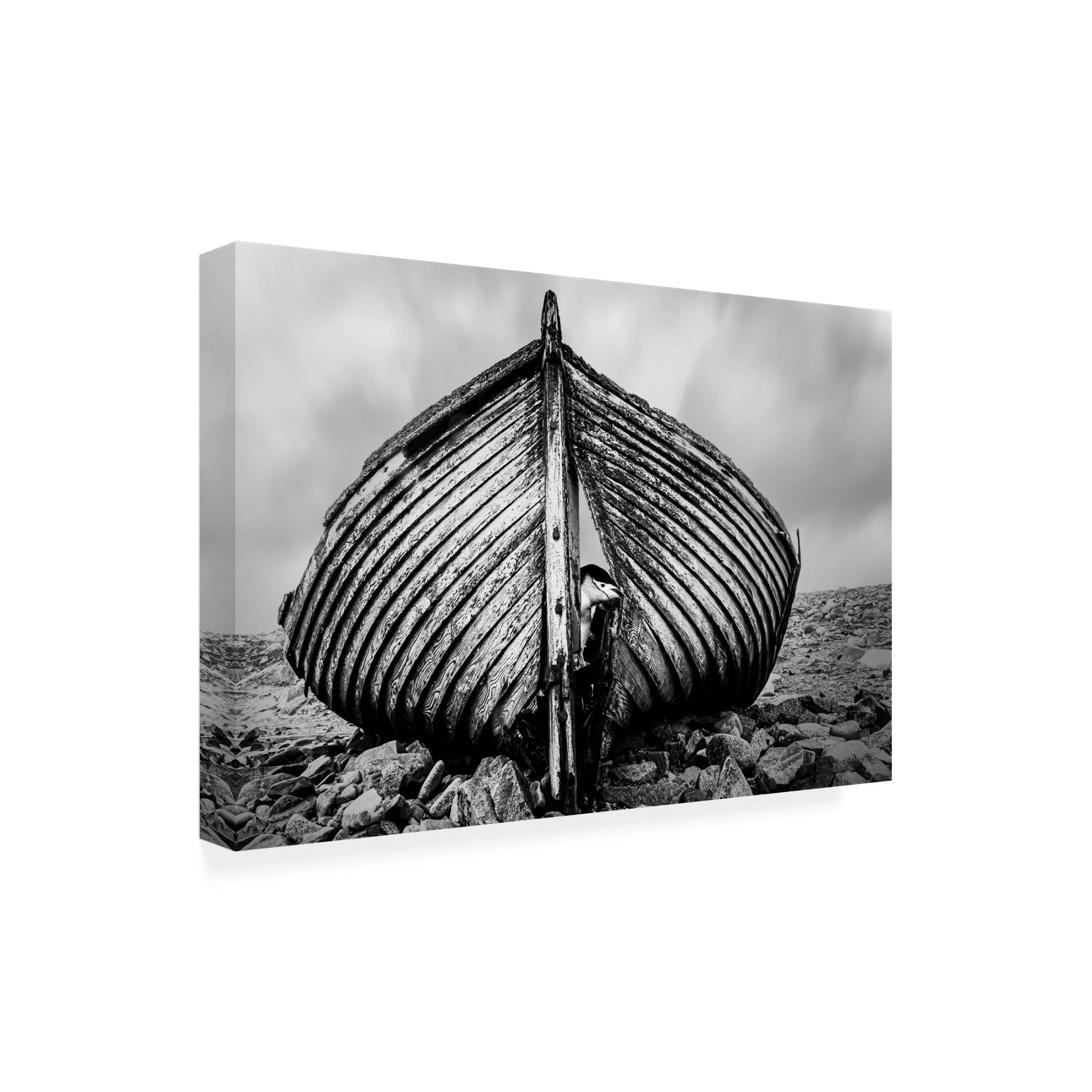 Trademark Fine Art Jie Jin Qpeekabooq Canvas Wall Art