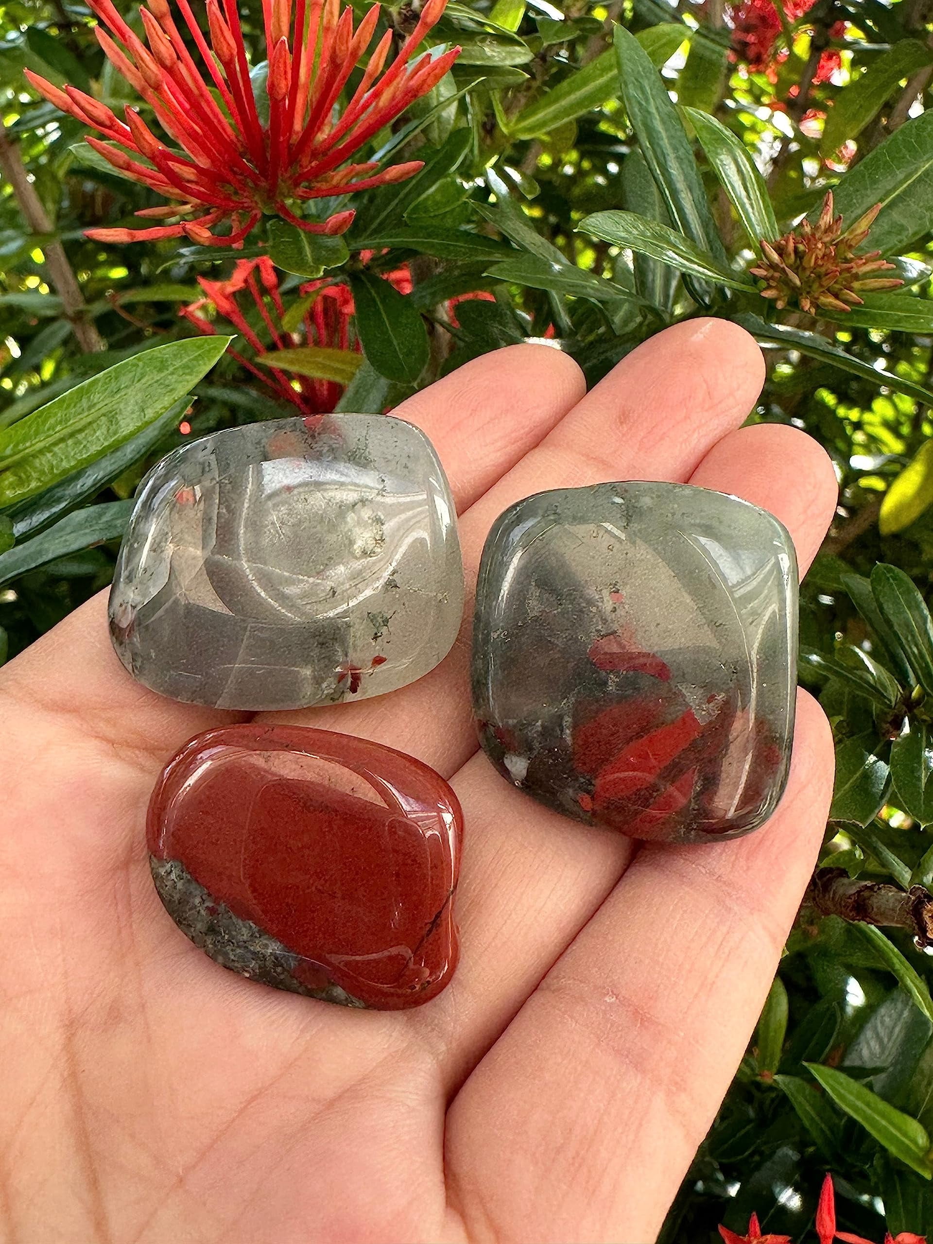 African Bloodstone Tumbled Stones, Polished African Bloodstone Gemstone, African Bloodstone Healing Crystals (African Bloodstone, 0.5 Pound)