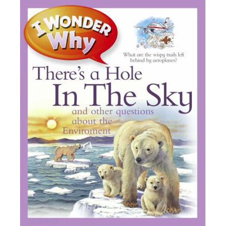 Pre-Owned I Wonder Why There's a Hole in the Sky: And Other Questions about the Environment (Hardcover) 0753467984 9780753467985