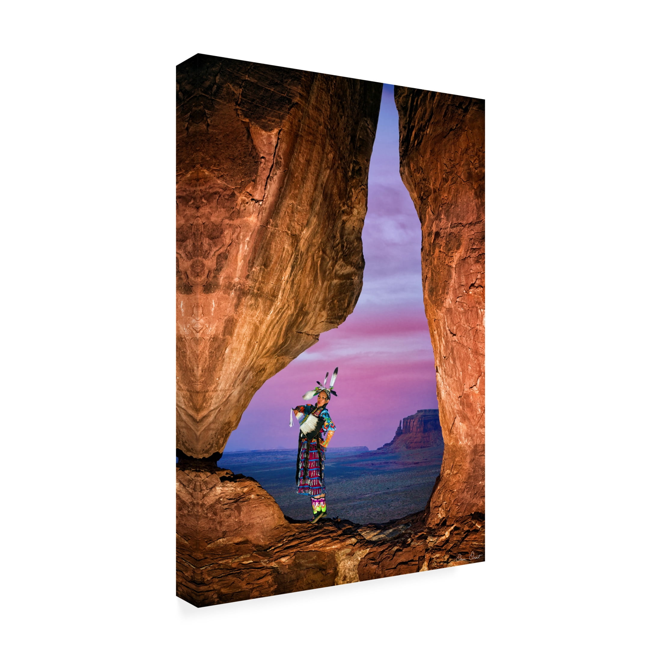 Trademark Fine Art David Drost  Nature's Melody II Canvas Wall Art