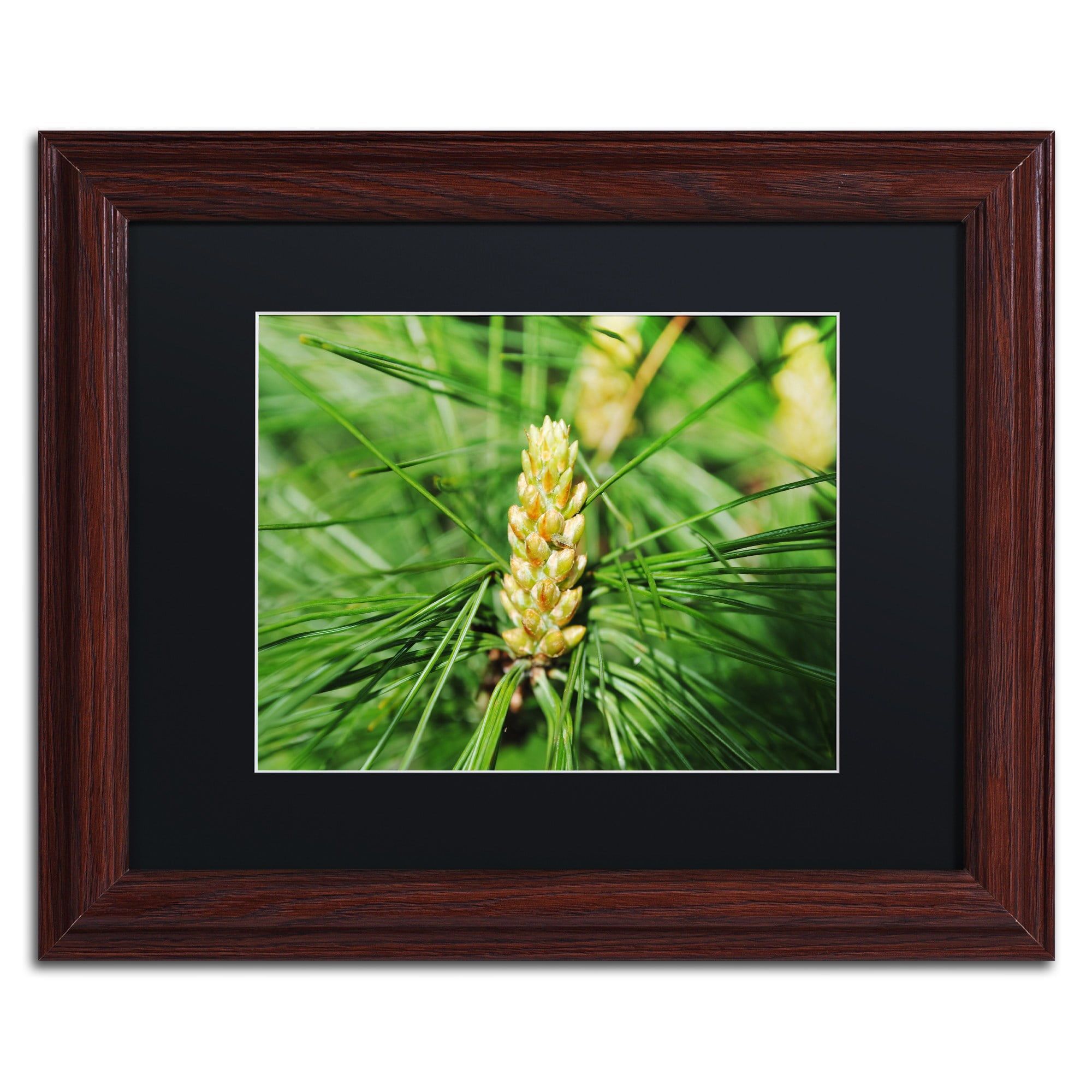 Trademark Fine Art "The Start" Canvas Art by Monica Mize, Black Matte, Wood Frame