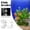 A, variant on Acrylic Aquarium Fish Feeder Tube and Dish Set with Suction Cups,Clear Fish Feeding Station for Shrimp,Turtles,and Tropical Fish