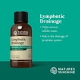 thumbnail image 2 of Lymphatic Drainage Drops - 2 Fl OZ Bottle (59 Servings), 2 of 6