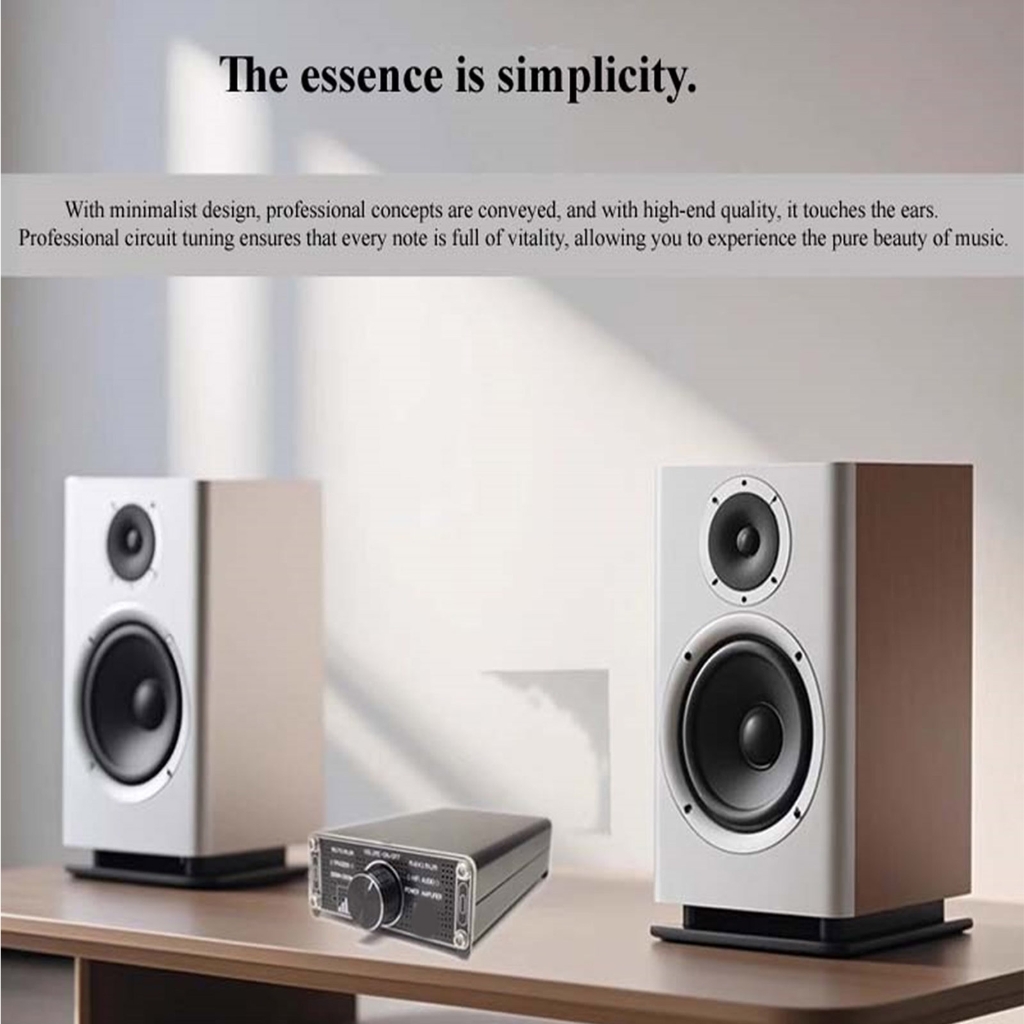 Portable 300W+300W TPA3255 Powerful Stereo Sound Power Amplifier HiFi