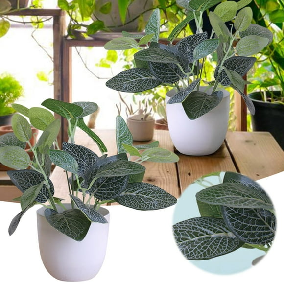1PC Potted In Pot Green Bonsai With White Round Pot Flowers Arrangements Wooden Flower Bouquet Flowers Outdoor Pot Jasmine Flowers Peonies Winter Flowers Flower Arrangements Flowers for Outdoors
