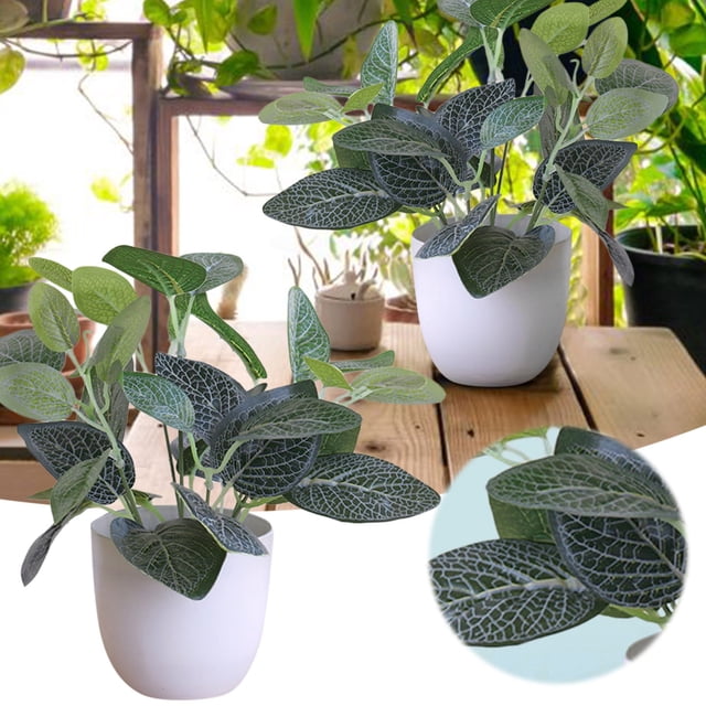 Bonsaï Élégant en Pot pour la Maison Ambiante Vert en Blanc Pot Rond Réaliste pour Salon et