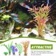 thumbnail image 3 of 14 Uds pecera decoración de plantas falsas plástico duradero modelo de planta falsa acuario modelo de planta decorativa, 3 of 5