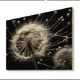 thumbnail image 2 of Designart "White Black Dandelion II" Floral Print on Natural Pine Wood, 2 of 5