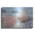 thumbnail image 1 of Luxe Metal Art 'Crescent Beach Shells 10' by Alan Blaustein Metal Wall Art, 16"x12", 1 of 8